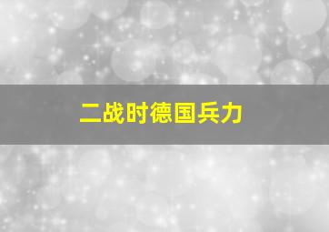 二战时德国兵力