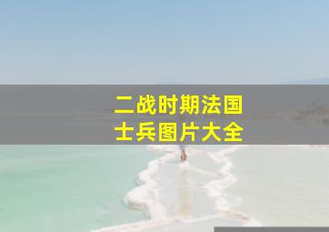 二战时期法国士兵图片大全