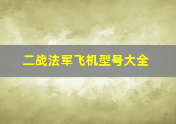 二战法军飞机型号大全