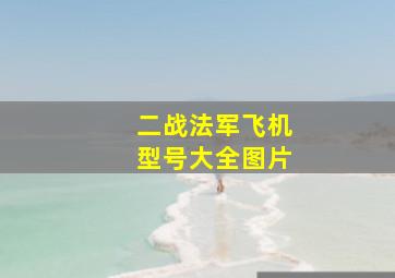 二战法军飞机型号大全图片