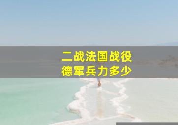 二战法国战役德军兵力多少