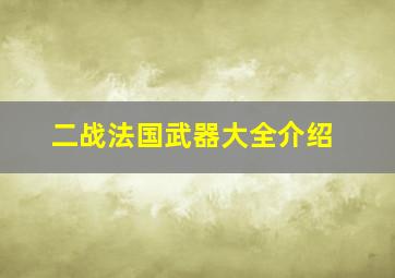 二战法国武器大全介绍