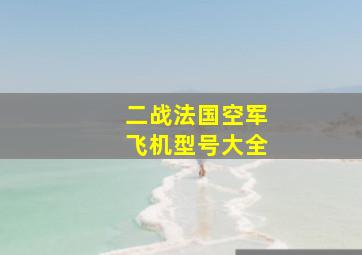 二战法国空军飞机型号大全