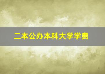 二本公办本科大学学费