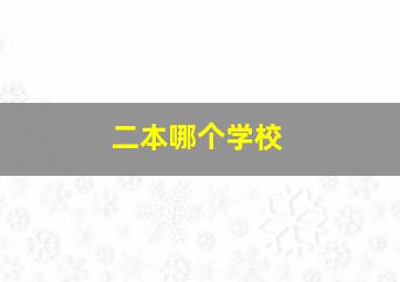 二本哪个学校