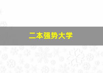 二本强势大学