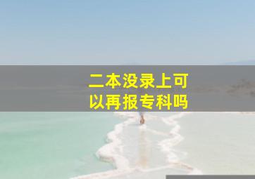 二本没录上可以再报专科吗