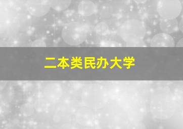 二本类民办大学