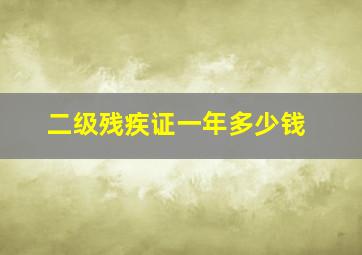 二级残疾证一年多少钱