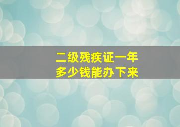 二级残疾证一年多少钱能办下来