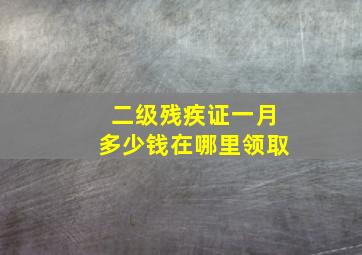 二级残疾证一月多少钱在哪里领取