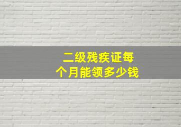 二级残疾证每个月能领多少钱