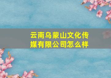 云南乌蒙山文化传媒有限公司怎么样