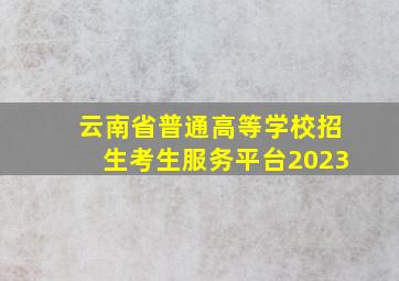 云南省普通高等学校招生考生服务平台2023