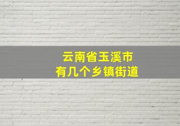 云南省玉溪市有几个乡镇街道