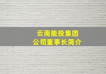 云南能投集团公司董事长简介