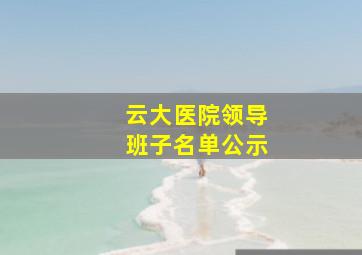 云大医院领导班子名单公示