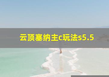 云顶塞纳主c玩法s5.5