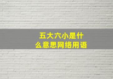 五大六小是什么意思网络用语