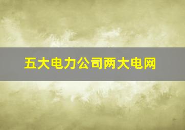 五大电力公司两大电网