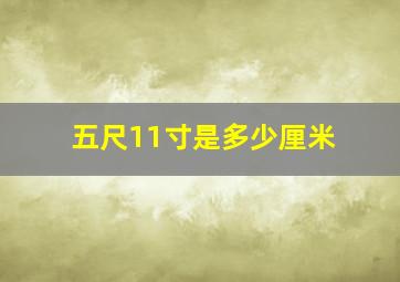 五尺11寸是多少厘米