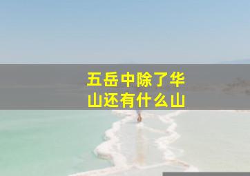 五岳中除了华山还有什么山