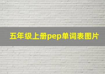 五年级上册pep单词表图片