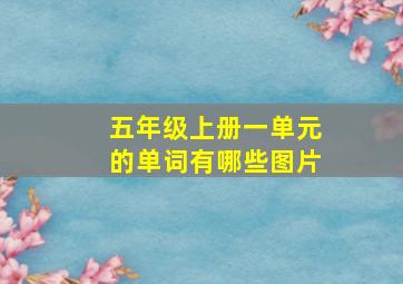 五年级上册一单元的单词有哪些图片