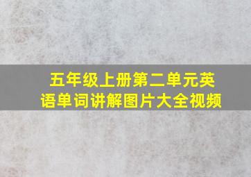 五年级上册第二单元英语单词讲解图片大全视频