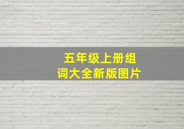 五年级上册组词大全新版图片