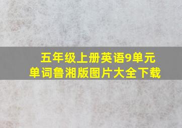 五年级上册英语9单元单词鲁湘版图片大全下载