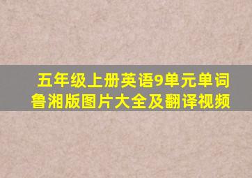 五年级上册英语9单元单词鲁湘版图片大全及翻译视频