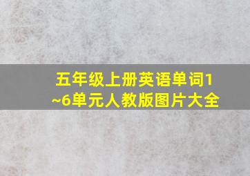 五年级上册英语单词1~6单元人教版图片大全