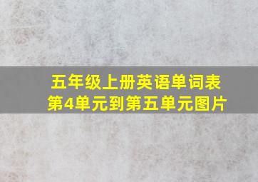 五年级上册英语单词表第4单元到第五单元图片