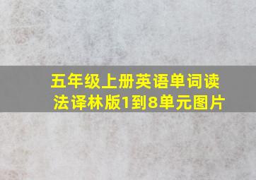 五年级上册英语单词读法译林版1到8单元图片