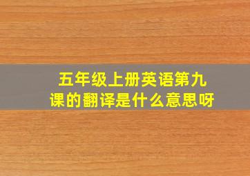 五年级上册英语第九课的翻译是什么意思呀