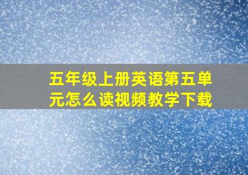 五年级上册英语第五单元怎么读视频教学下载