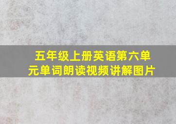 五年级上册英语第六单元单词朗读视频讲解图片