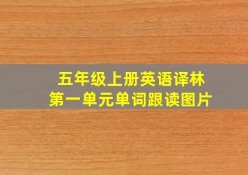 五年级上册英语译林第一单元单词跟读图片