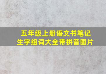 五年级上册语文书笔记生字组词大全带拼音图片