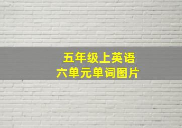 五年级上英语六单元单词图片