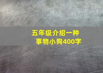 五年级介绍一种事物小狗400字