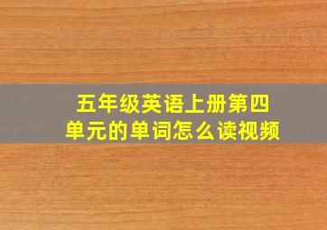 五年级英语上册第四单元的单词怎么读视频