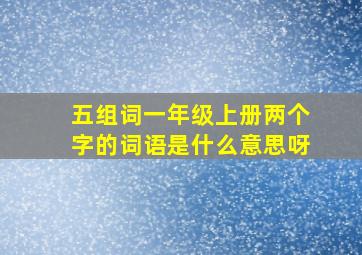 五组词一年级上册两个字的词语是什么意思呀