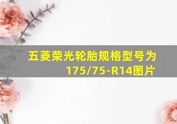 五菱荣光轮胎规格型号为175/75-R14图片