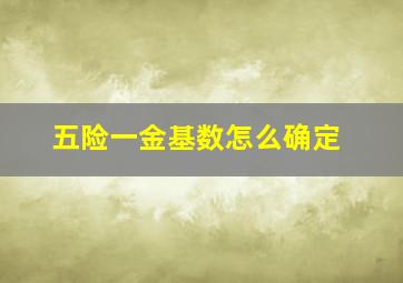 五险一金基数怎么确定