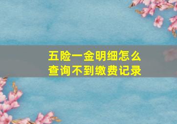 五险一金明细怎么查询不到缴费记录