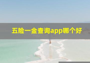 五险一金查询app哪个好