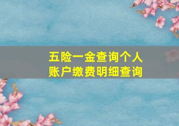 五险一金查询个人账户缴费明细查询