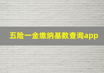 五险一金缴纳基数查询app